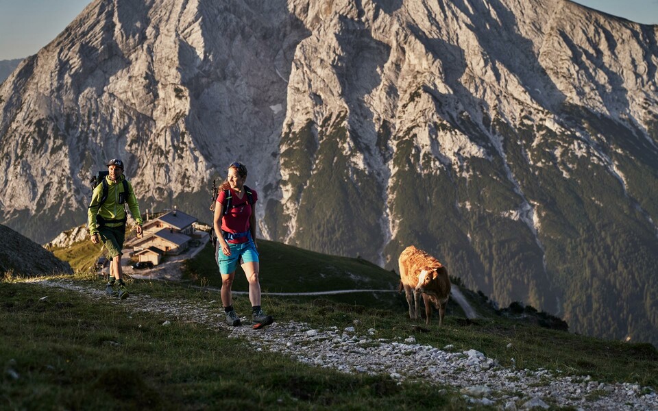 Wanderungen durch die unberührte Natur der Tiroler Alpen - Hotel Seefelderhof