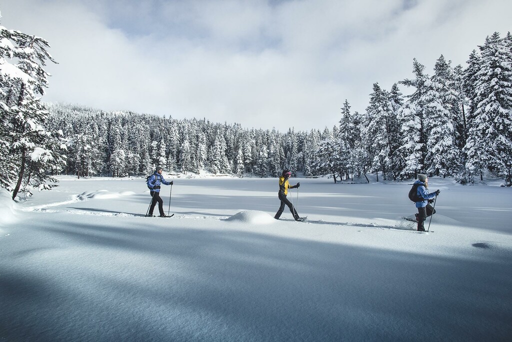 Winterwandern in der Region - Haus Schönblick Seefeld